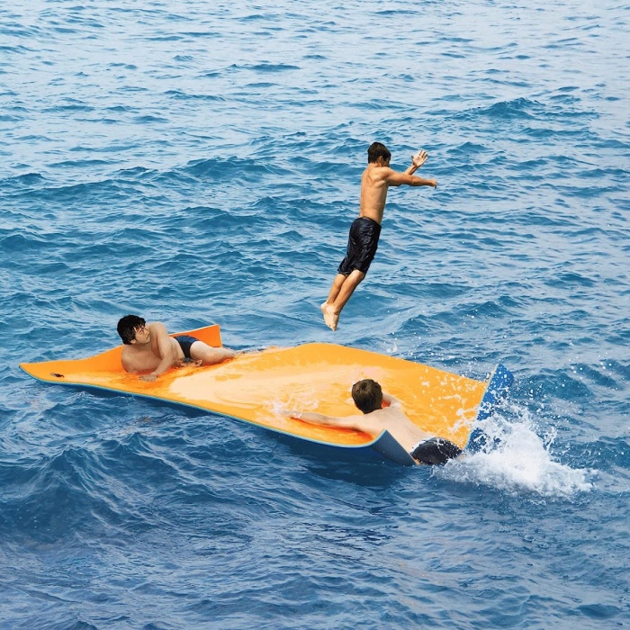 Lily pad flotation discount
